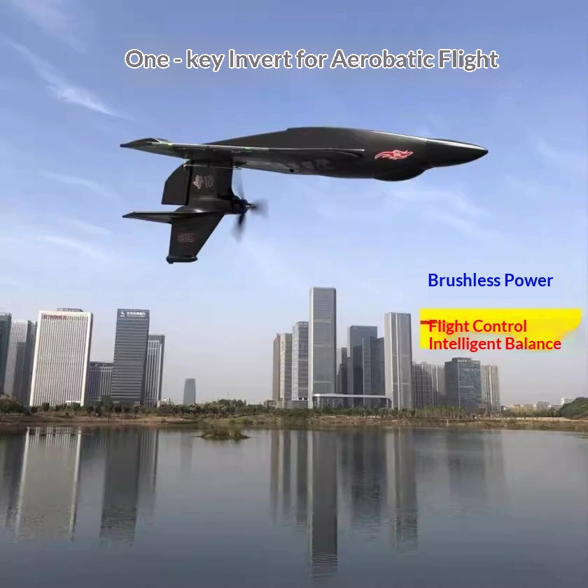 6CH RC Vliegtuig H650 Raptor B - Rc Wing Glider recensie en prijs