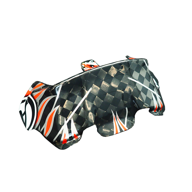 Koolstofvezel Geschilderde Spo - Rc Wing Glider recensie en prijs